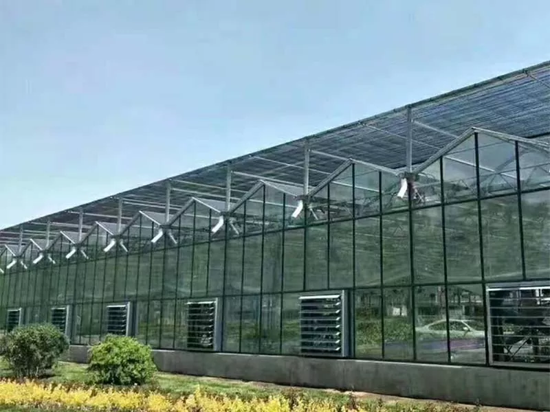 Apakah jenis tanaman yang boleh ditanam di ladang menegak keluli?